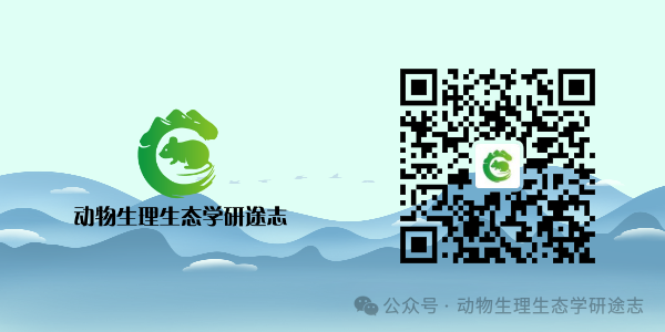 640 (4).png