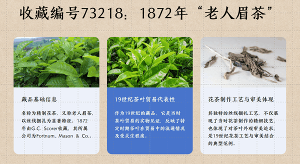 2 收藏编号73218:1872年“老人眉茶”1.png