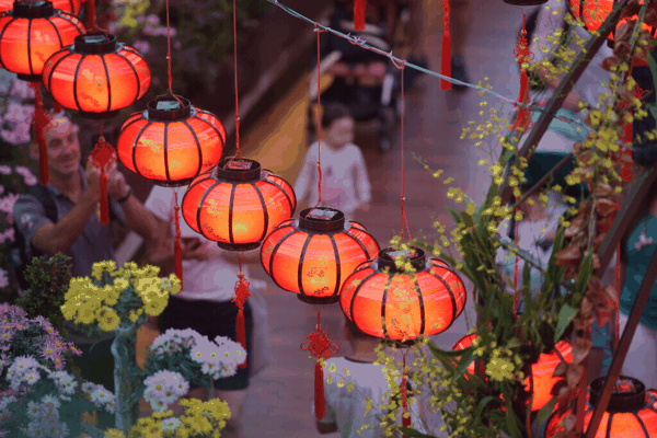 生长发育专家给孩子的“年货”③