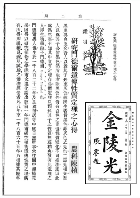 陈桢:研究门德尔遗传性质定理之心得(42).jpg 陈桢:研究门德尔遗传性质定理之心得(42).jpg