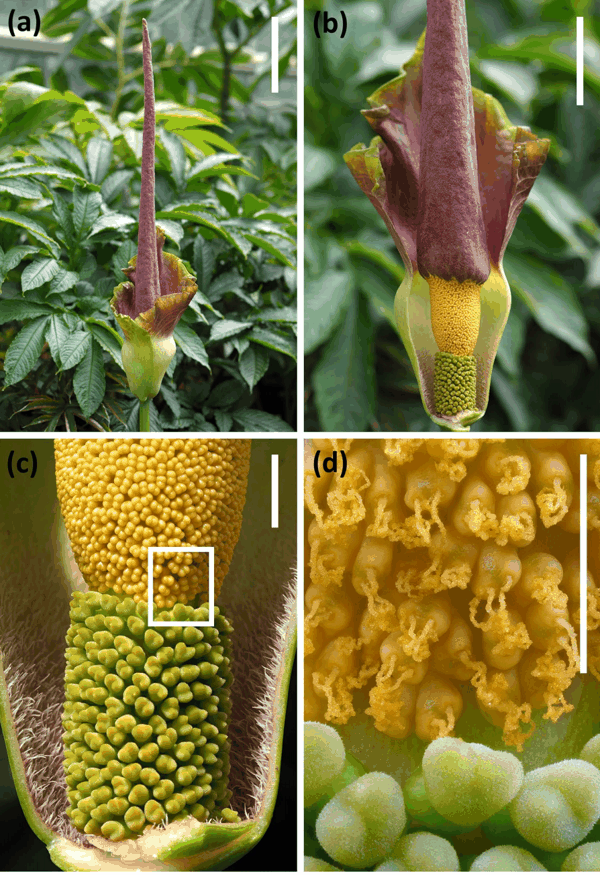 截屏2026-04-19 09.36.55.png