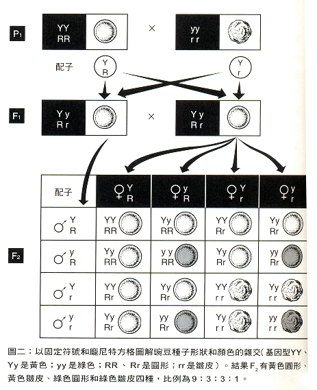 贝特森一文-图2.jpg