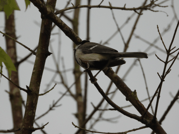 DSCN1028.JPG
