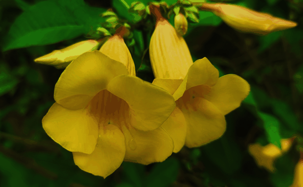 IMG_20260429_081903.jpg