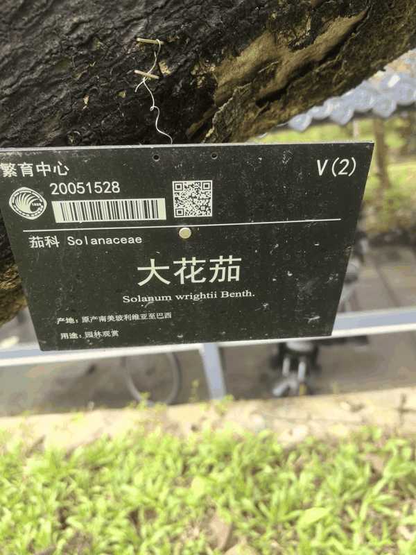 微信图片_20260621142956_160_2.jpg