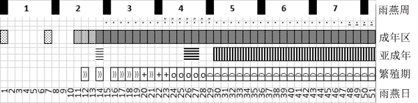 Common Swift Calendar 1.jpg