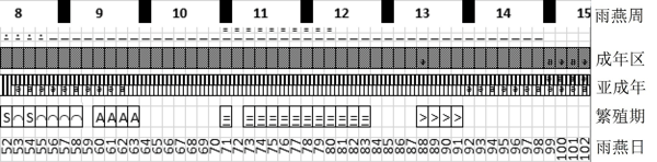 Common Swift Calendar 2.jpg