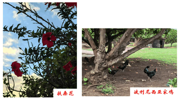 3708245c-d776-447c-83f9-43c41a5a815e.png