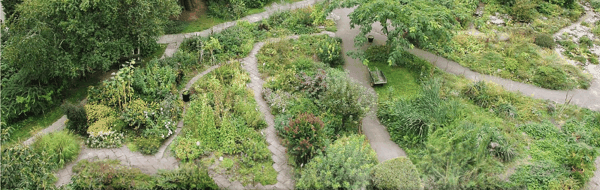 植物分类区.png