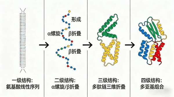 图片 7jpg.jpg