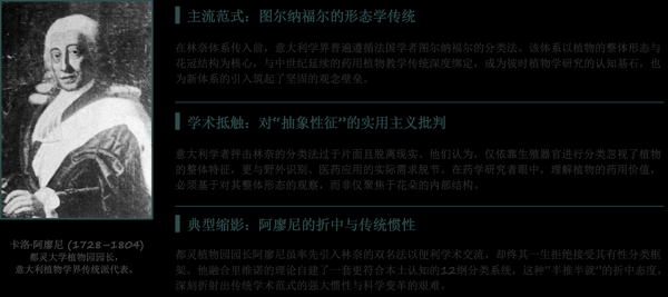 3 传统分类范式根深蒂固.png