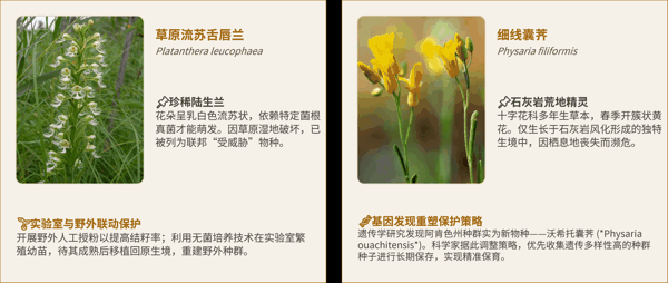 4 伊利诺伊州 & 密苏里州.png