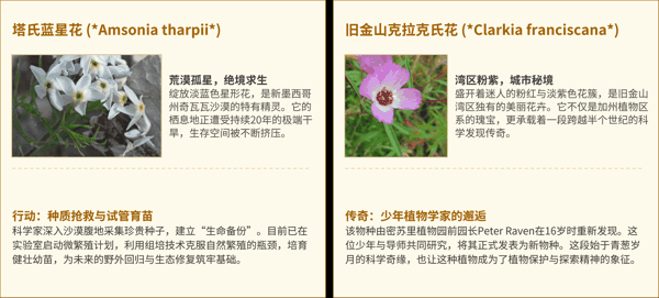 7 新墨西哥州 & 加利福尼亚州.png