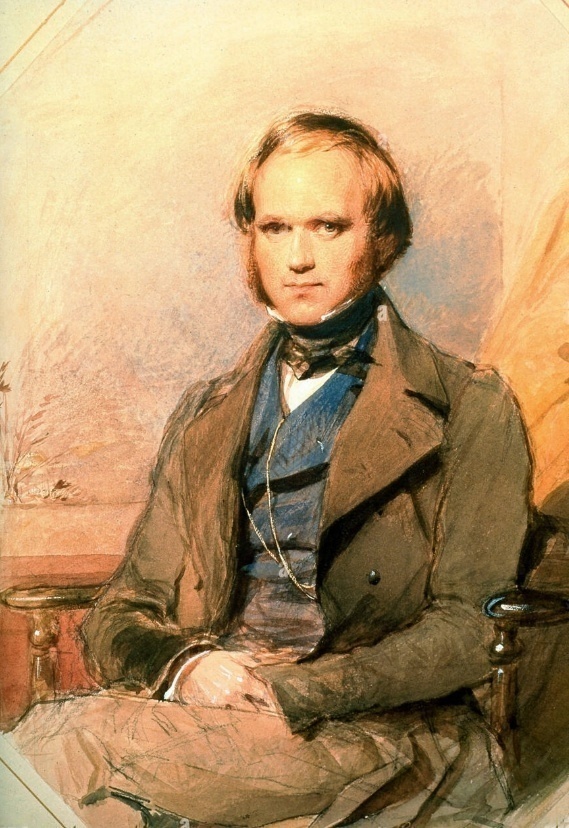 达尔文肖像（1840，By George Richmong），Portrait of Charles Robert Darw.png