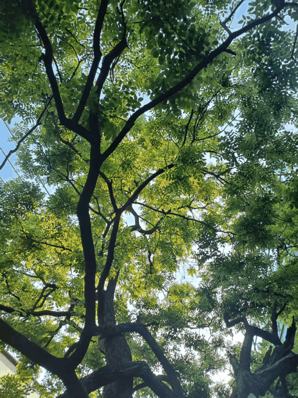 微信图片_20260513164308_790_93.jpg 微信图片_20260513164308_790_93.jpg