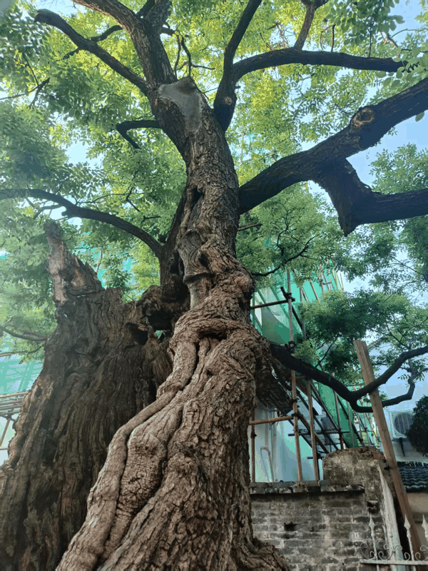 微信图片_20260513164311_793_93.jpg