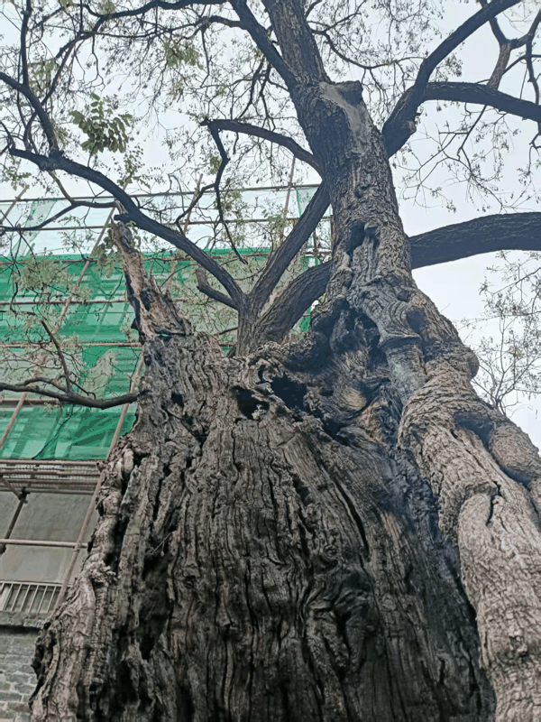 微信图片_20260513164313_795_93.jpg