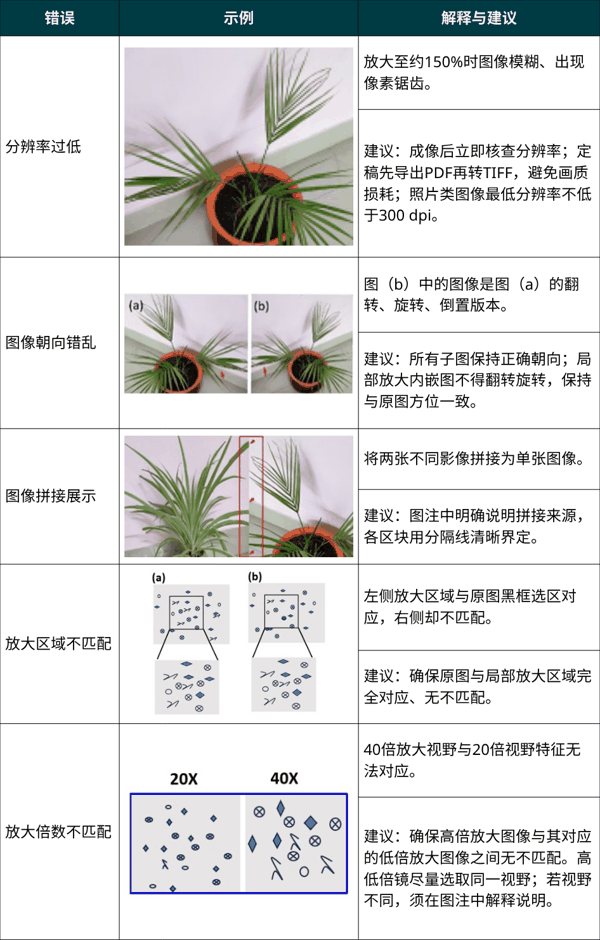 Sheet2.png