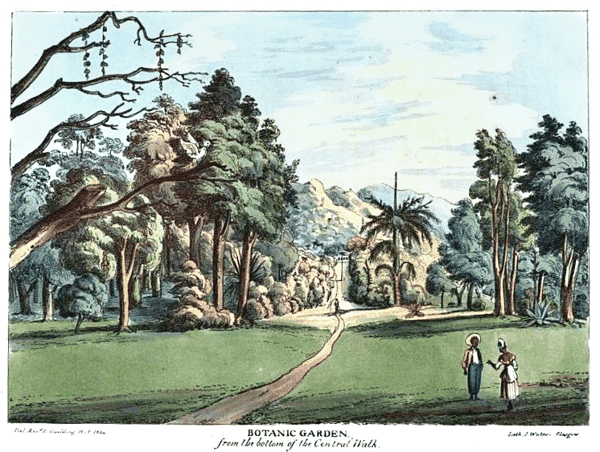 OldGardens.jpg