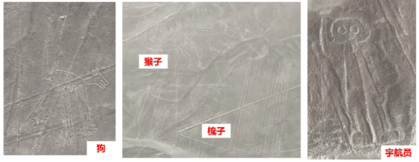 d7dedc07-194b-4e9d-b912-88f98e26a77e.png