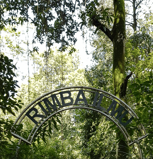 Rimba Ilmu Botanic Garden9.png