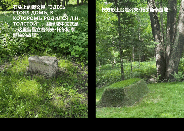 图片9.png 图片9.png