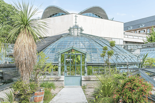 Botanischer-Garten-Basel-1920x1281.jpg