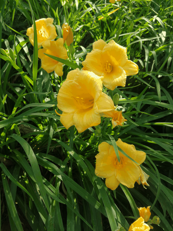 IMG_20210508_143641.jpg