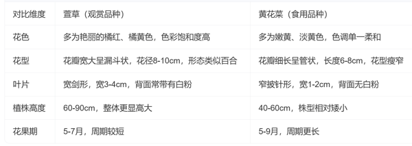 QQ20260628-174428.png