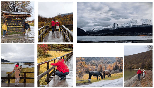 469bcaca-da66-40cf-8c30-ca5126fb6313.png