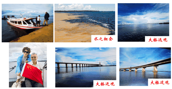 13a7c518-3cb1-40c0-96bf-1753764a6b6d.png