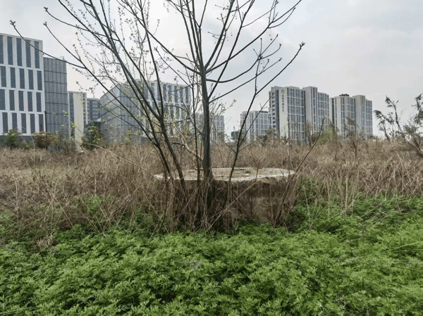 微信图片_20260403195638_1411_3.jpg