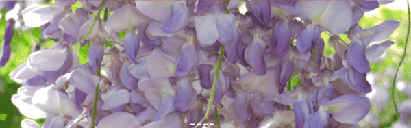 题图5.png