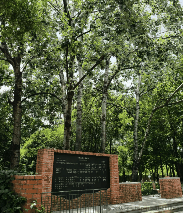QQ_1785077741242.png