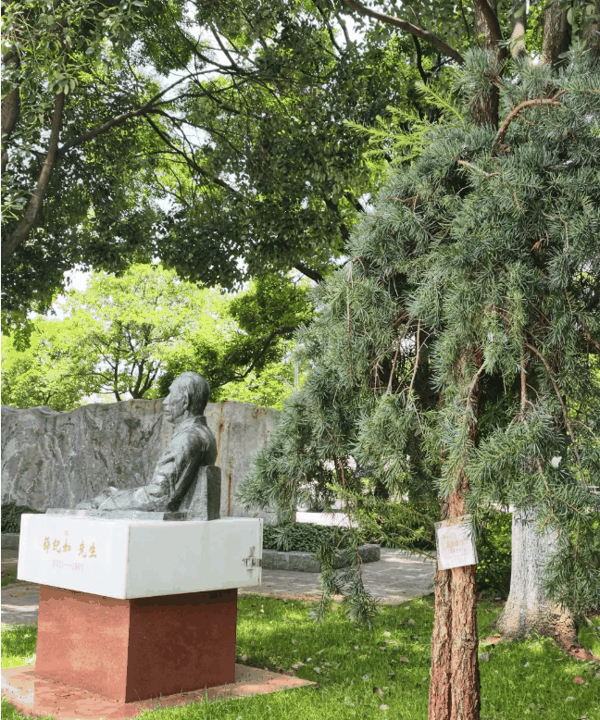 QQ_1785077802213.png
