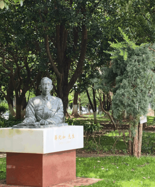 QQ_1785077779962.png