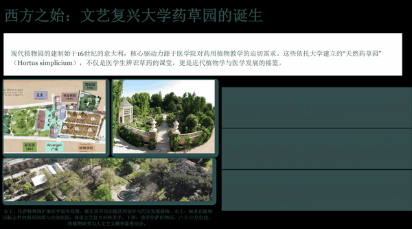 3 西方之始:文艺复兴大学药草园的诞生.png