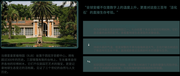 1 三百年古树的生存考验.png