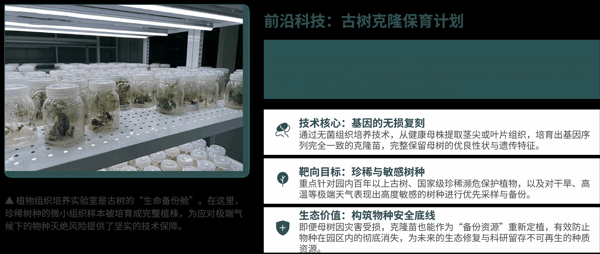 12 守护行动——植物园的应对策略.png