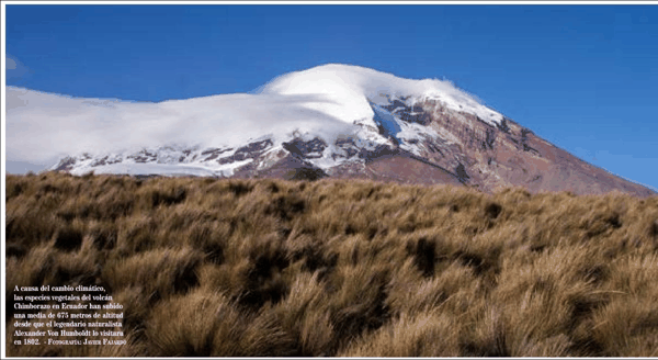 3 厄瓜多尔钦博拉索火山,洪堡当年实测海拔梯度的核心地点.png