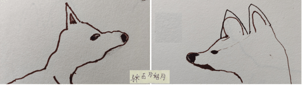 亚洲胡狼 马马虎虎_20260805 新记录ab.jpg