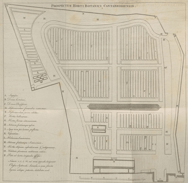 FIG217~1.JPG
