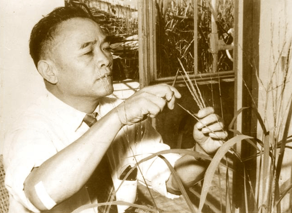 图1 李先闻(1948).jpg