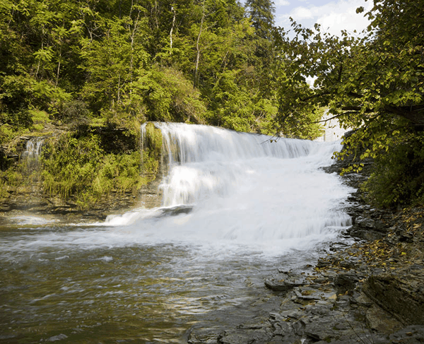 图3_卡斯卡迪拉与瀑布溪峡谷(Cascadilla & Fall Creek Gorges)夏日 l.jpg