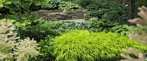 图10_荫生花园(Shade Garden) C_shade_gdn.jpg