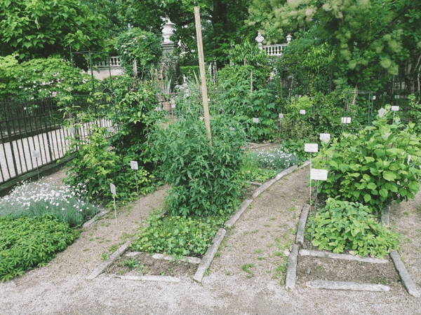 图7 植物挂牌.jpg