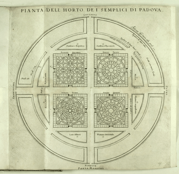 图2 平面图2(1835).jpg